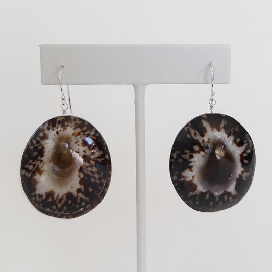 Owl Limpet Earrings
